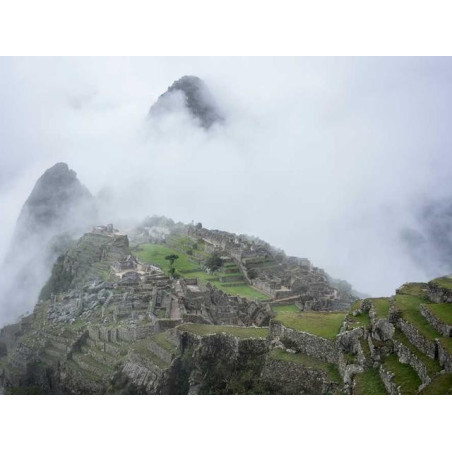 Synergistic Concrete Computer fr-FR